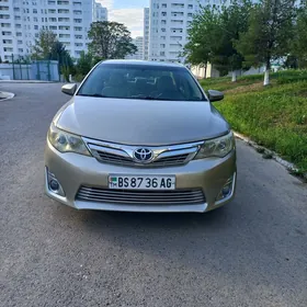 Toyota Camry 2014