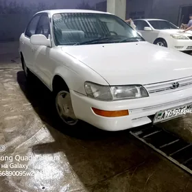 Toyota Corolla 1995