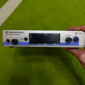 Seenheizer ew500