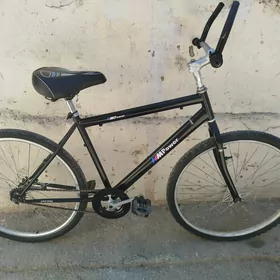 26 tigir