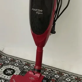 plesos