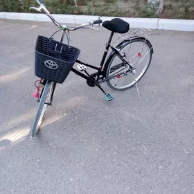 Satlyk welsepit