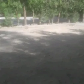 Сатлык бекреве