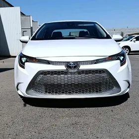 Toyota Corolla 2020