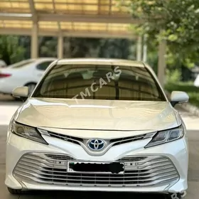 Toyota Camry 2019