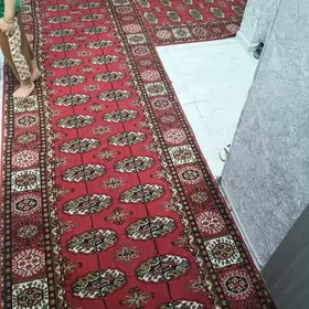 Haly kalidora turkmeninki