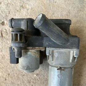 pec nasos sclaas
