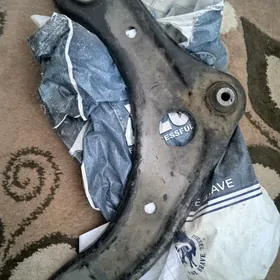 Gitara versa gujuk