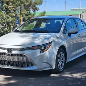 Toyota Corolla 2020