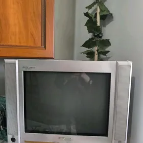TELEVIZOR