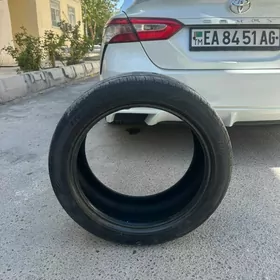 teker saygun