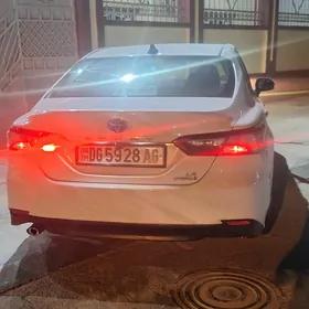 Toyota Camry Hybrid 2019