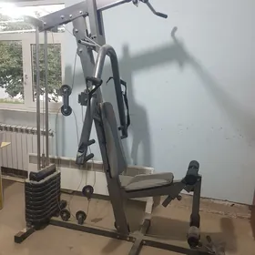 Sport enjam