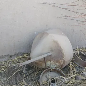 Dukisepen karaşok ulnmadyk