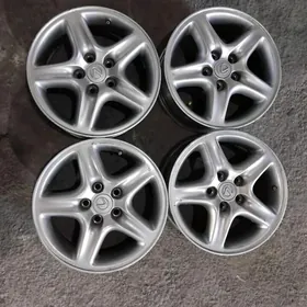 Rх 300 Disga