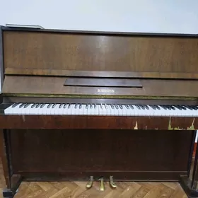 Rubinstein pianino