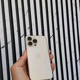 iPhone 13pro
