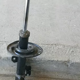 AMARTIZATOR