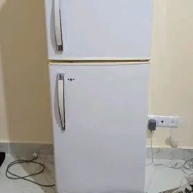 haladinlik
