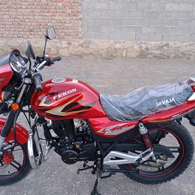 Fekon FK200-14G 2025