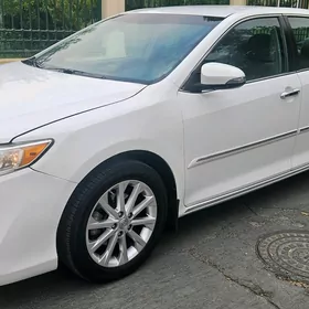 Toyota Camry 2013