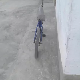 mizan