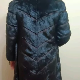 Şuba