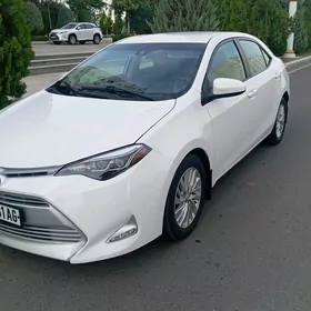 Toyota Corolla 2019