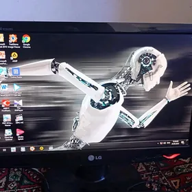 Monitor 19  lyk