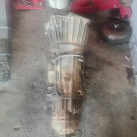 bmw zapcaslar