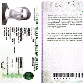 Pasport yitirdim