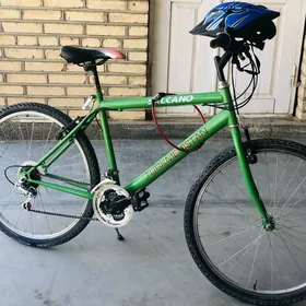 Turkmenistan Welisoped (tigir)