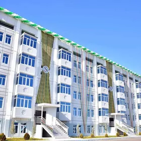 Panelka