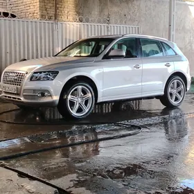 Audi Q5 2010