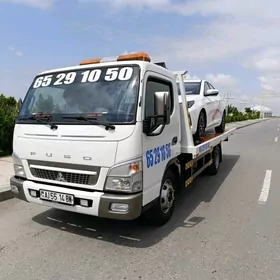 Mitsubishi Fuso 2010