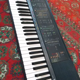 Yamaha psr-70
