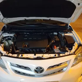 Toyota Corolla 2011