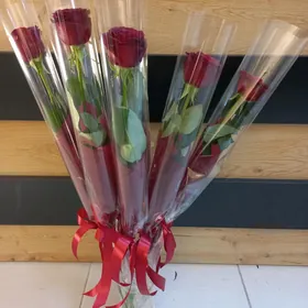 роза bägül roza güller gul