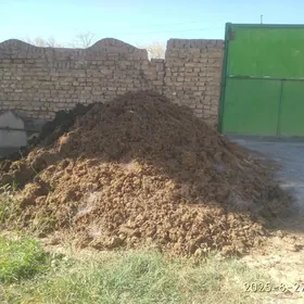 Sygyr dersi mugytdyr