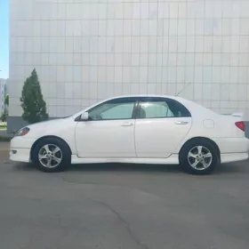 korolla motor zapcast