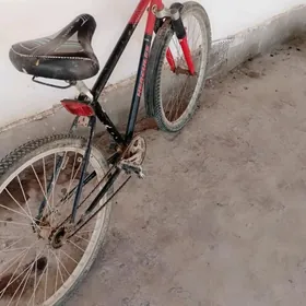 sportiwni welik