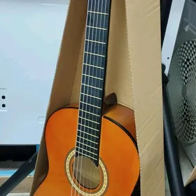 Gitara saz guraly