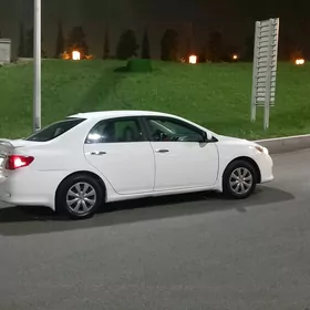 Toyota Corolla 2010