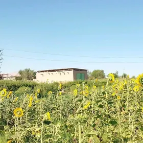 jaý