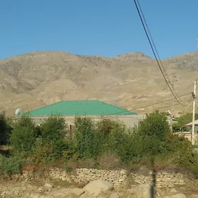 Nohur obasy