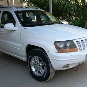 Jeep Grand Cherokee 1999