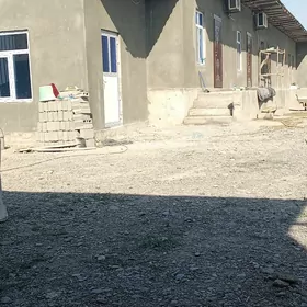 kWartire gerek akgonura