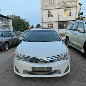 Toyota Camry 2013