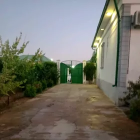 Arenda Plan taze zaman