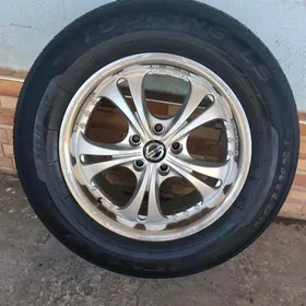 diska pakriska R17